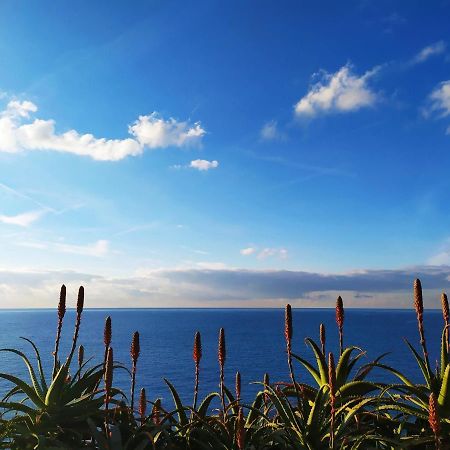 Casa Ravecca Apartman Bogliasco Kültér fotó